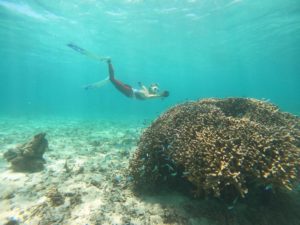 しなるロングフィン♪ 梅雨入り前の晴れの日は スキンダイビング日和♪