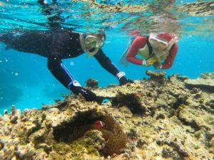 初めてでも楽しめるシュノーケリング！その秘訣は少人数ツアー♪