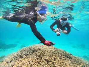 石垣島好き！シュノーケリング好き！の方と海にいくと♪