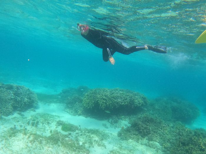 初シュノーケルでも活発な泳ぎ