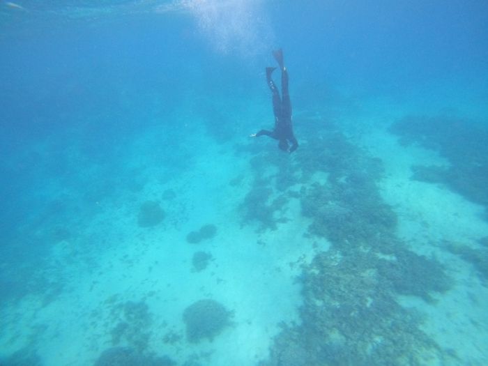 御年70歳、渾身のシュノーケリング