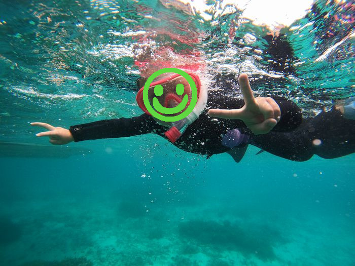 お見事マスクデビュー