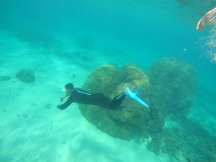 お父さんは素潜りドボン