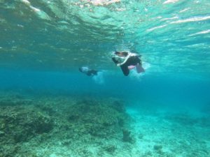 意気込みはシュノーケリングポイントのクマノミ！ぜーんぶ紹介するぞ♪