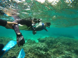 グラスボートでシュノーケリング！海に不安!?少人数ツアーにお任せ下さい♪