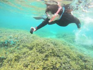 浅瀬シュノーケリングでトラウマを取り除く！サンゴとお魚さんわしゃわしゃコース！