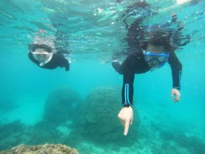 梅雨入り発表の石垣島なれど、水中世界は竜宮城♪