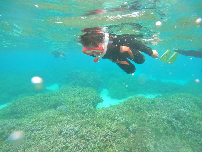 マスクデビュー成功、アオイちゃん