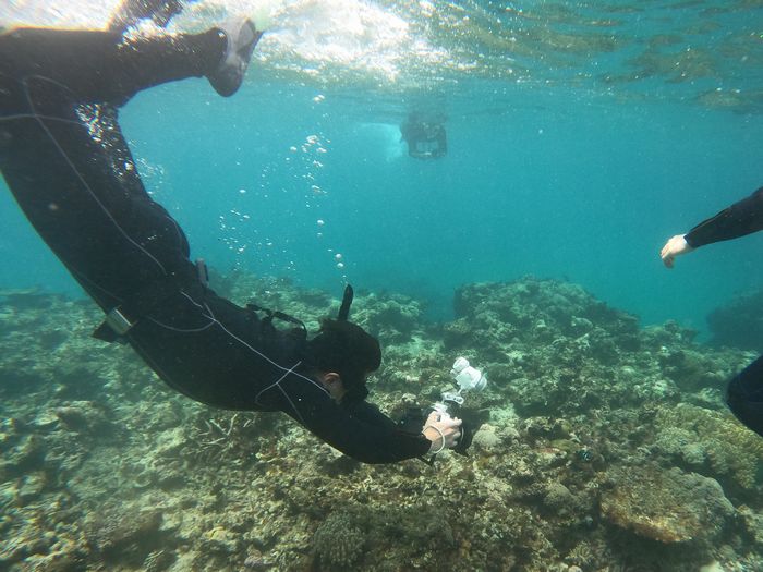 素潜りドボンです