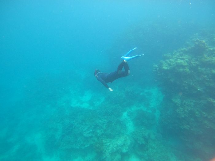 深場に潜り込む