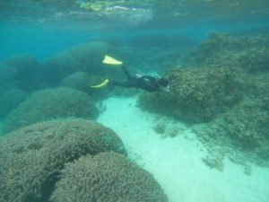 少人数シュノーケリングはブランク解消、お任せください♪