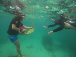 海の不安はプロにお任せ少人数シュノーケリングで楽しんだ石垣島の海♪