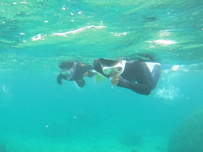 お父さんと泳いだり