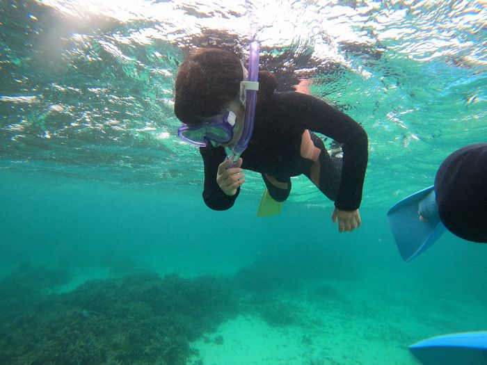 マスクデビュー成功