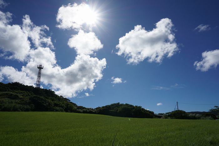 ぎらぎら太陽と牧草地