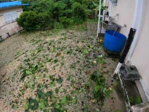 台湾の手前でくるっと軌道が変わる。停滞モードからの石垣島の様子は？