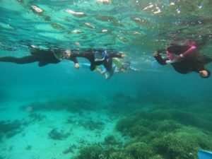 家族水入らずの貸切ツアー大得意のシュノーケリングショップです♪