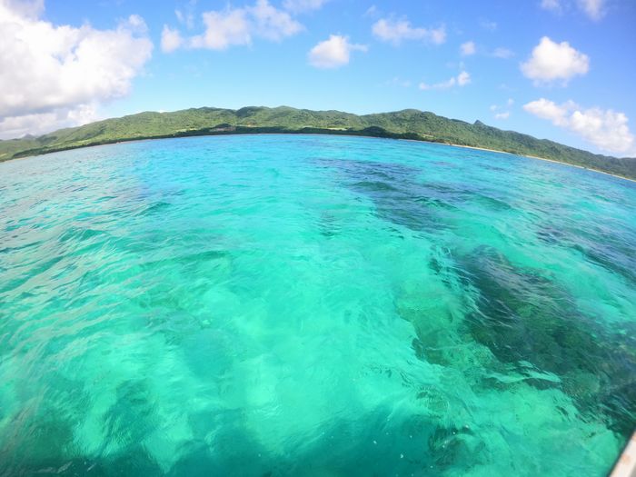 絶好調のシュノーケリング日和