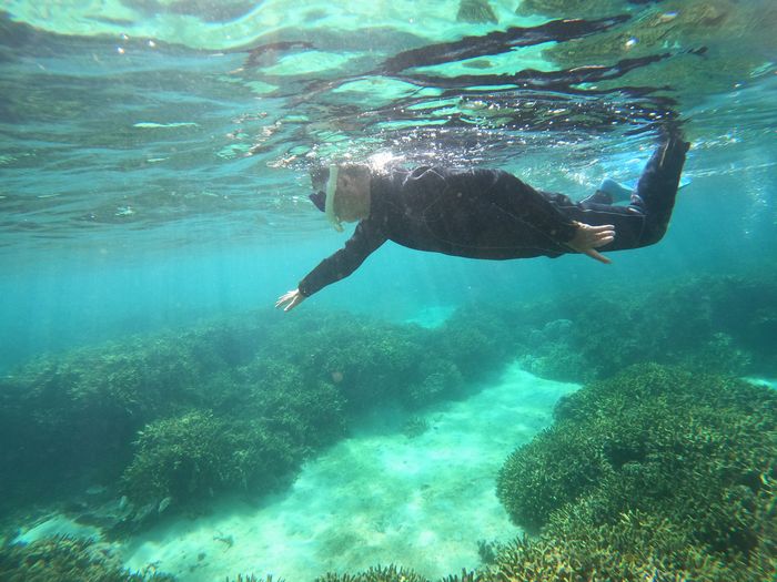 サンゴわしゃわしゃコース