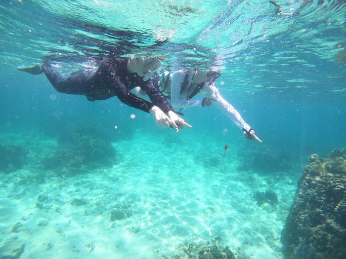 水中のお魚さんを楽しんでいます。