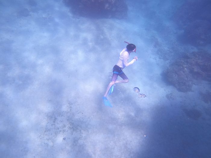 最後は素潜りドボン