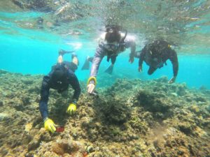 石垣島シュノーケリングといえば、お魚さんわっしゃわっしゃコース♪