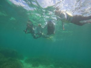石垣島旅行、最終日は。。。やっぱりシュノーケリング♪