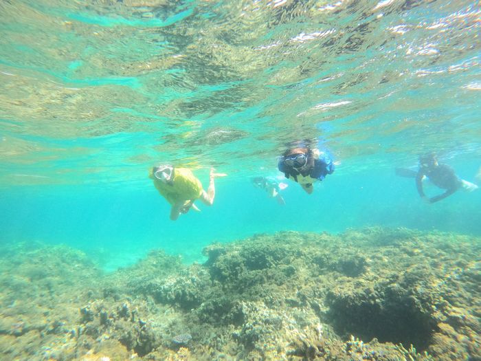 夏を先取りシュノーケリングの皆さん