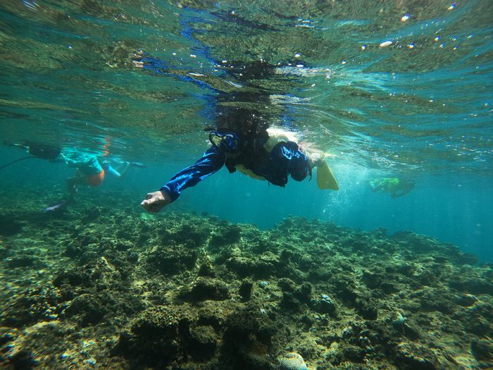 快適シュノーケリング