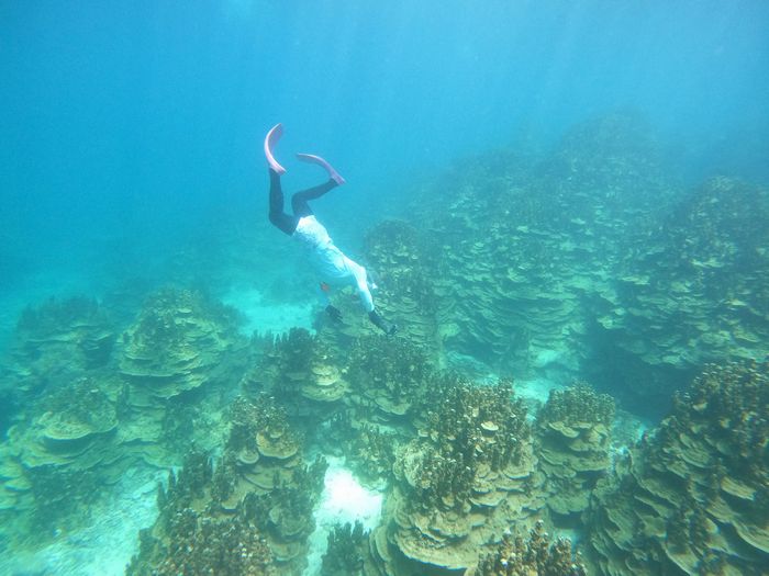 ワイドレズで潜るN野さん