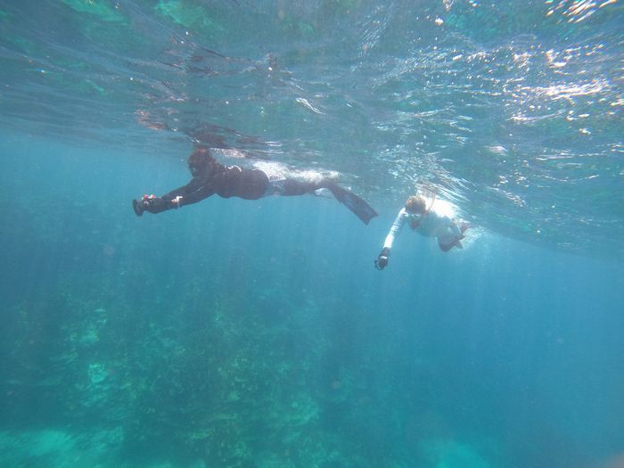 F崎さんとN野さんチーム