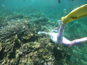 夏休み前に！夏を先取り石垣島シュノーケリング！