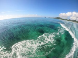 べた凪の海はシュノーケリング日和、ベストコンディションです！