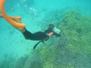 石垣島旅行最終日は、初シュノーケリングで初スキンダイビングの三年生♪