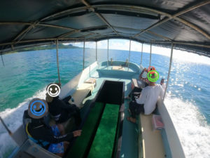 逃げろ船酔い！ギリギリセーフで楽しんだシュノーケリング