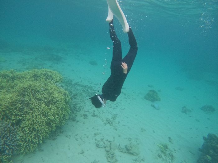 リクエストは素潜りドボン