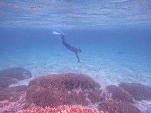 石垣島旅行初日、11時30分着で午後からのシュノーケリング！