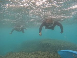 台風前滑り込みシュノーケリング！うねりあり、流れあり、濁りあり！魔法の時間はいずこへ！