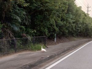 台風…!?どうなってるんでしょう。。。