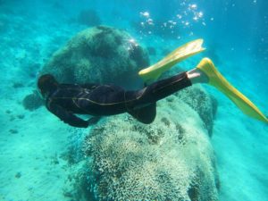 秋空広がる10月の空なれど、シュノーケル日和、日焼け日和♪