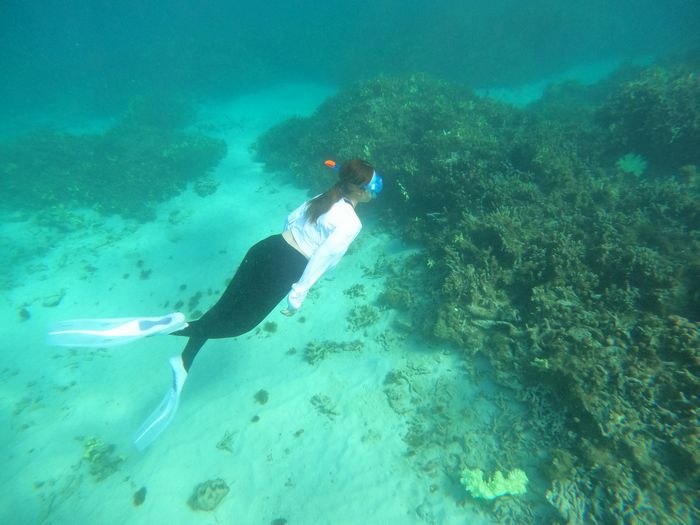 新しいフィンでドボン