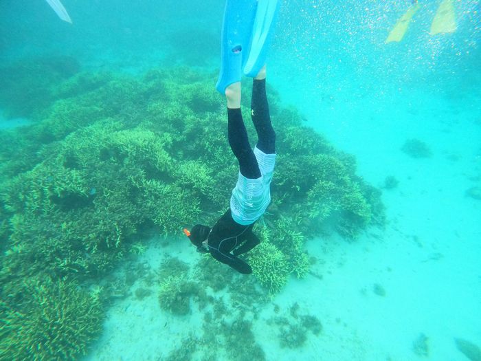 初シュノーケリングで初素潜り