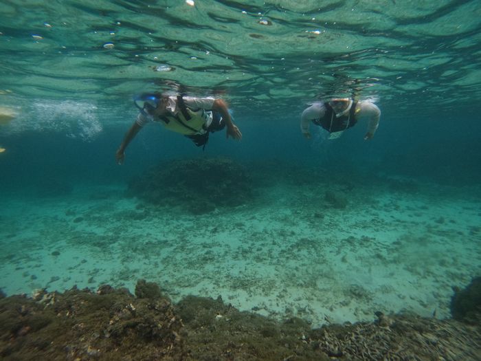 お父さんとお母さんはマイペースに