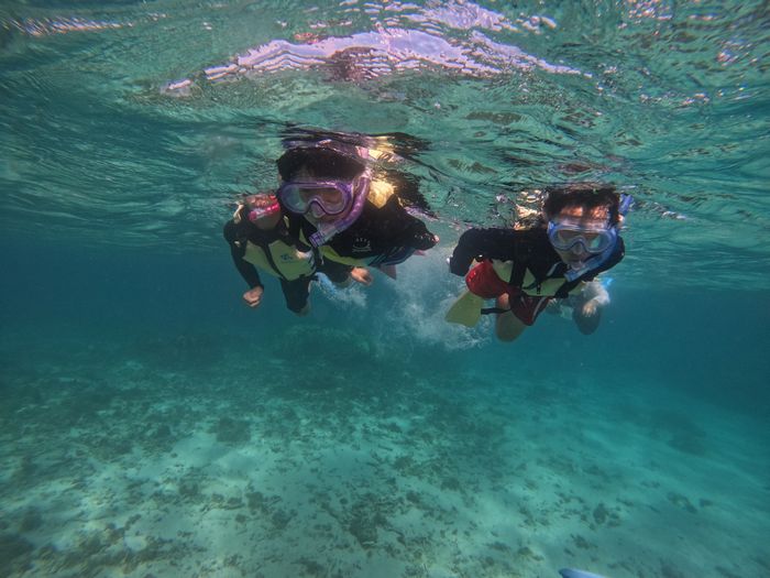 活発泳ぎが始まります