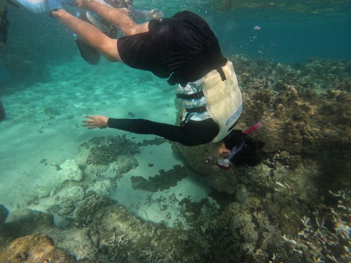 こちらもライフジャケットで潜る