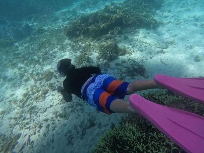 子供チームもドボン