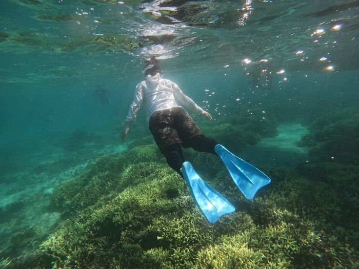 お母さんもドボン