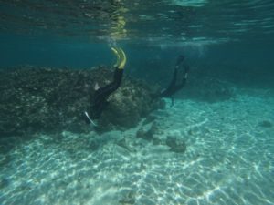 初シュノーケリング、海にトラウマあり!?そして午後からは親子でスキンダイビング三昧