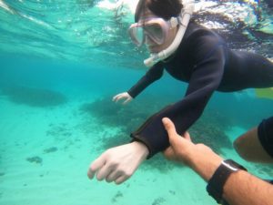 台風通過後、シュノーケリング再開ツアーの様子は？