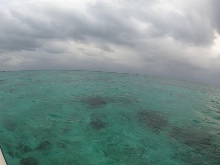 曇りなれどシュノーケル日和